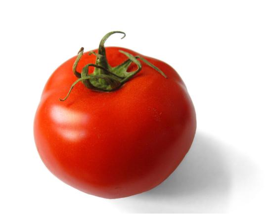 0000240000054.jpeg