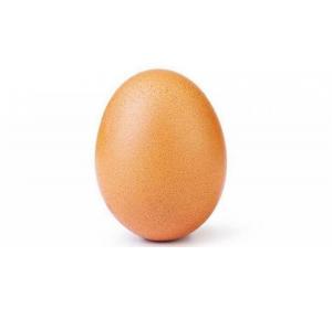 OEUF A LA PIECE FERME DE LA VILLENEUVE