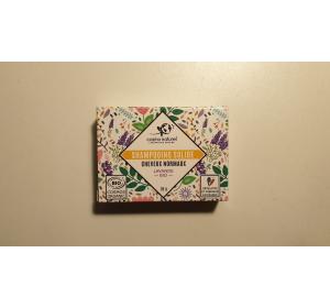 SH SOLIDE CHEVEUX NORMAUX COSMO