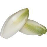 ENDIVE KG