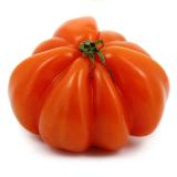 TOMATE ANCIENNE KG