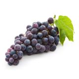 RAISIN NOIR PRIMA KG