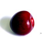 PRUNE ROUGE PRESIDENT KG