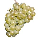 RAISIN CHASSELAS MOISSAC KG