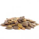 GRAINES COURGE VRAC LE KG 20