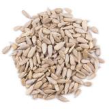 GRAINES TOURNESOL VRAC LE KG 15