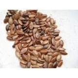 GRAINES LIN BRUN VRAC LE KG 22