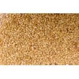 SESAME COMPLET VRAC LE KG 18