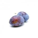 PRUNE QUETSCHE KG