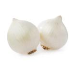 OIGNON BLANC BOTTE PIECE