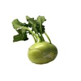 CHOU RAVE PIECE   TREMEREUC