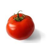TOMATE RONDE KG LA VILLENEUVE