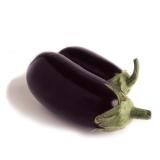 AUBERGINE KG (PLENEE JUGON)