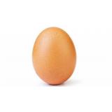 OEUF A LA PIECE FERME DE LA VILLENEUVE