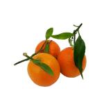 CLEMENTINES CORSE KG