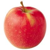 POMME GALA KG