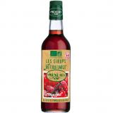 SIROP GRENADINE 50CL