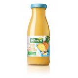 SMOOTHIE ANANAS GINGEMBRE 25 CL