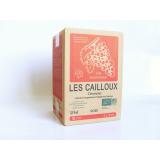 CUBI ROSE CAILLOUX