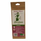 BARDANE RACINE (50G)
