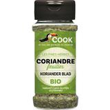 CORIANDRE FEUILLES