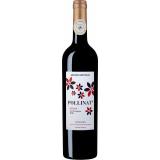 POLLINAT SYRAH ROUGE 75CL