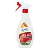 BRILLANCE SALLE DE BAIN 500ML