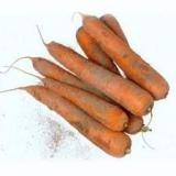 CAROTTE NON LAVEE PIERREPONT KG