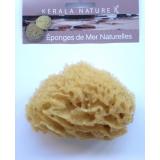 EPONGE DE MER NATURELLE