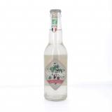 INFUSION PETILLANTE FEUILLE DE CASSIS 33