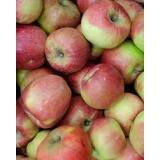 POMME COX'S KG        LE QUIOU