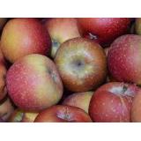 POMME DALINETTE KG (LE QUIOU)