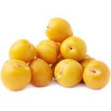 PRUNE JAUNE TC SUN KG