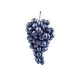 RAISIN NOIR MUSCAT HAMBOURG KG